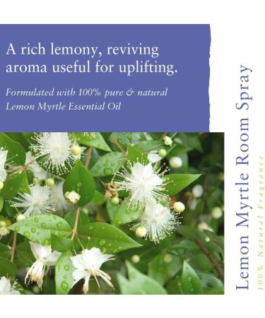 Absolute Aromas Room Spray Oil 100ml - Natural Essential Oil Blend for Home - Single Bottle - Buy Online on GoSupps.com