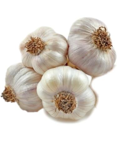 Humis Crispy Fried Garlic Flakes 160g - Premium Quality Fried Garlic Flakes - Buy Online on GoSupps.com