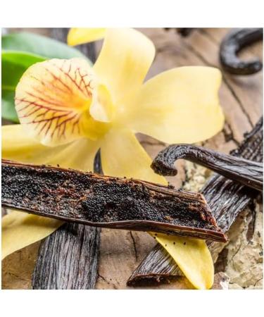 Empire Candle Fragrance Bars - 2.5 oz Lemon Sugar Cookie | International Shipping Available - Buy Online on GoSupps.com