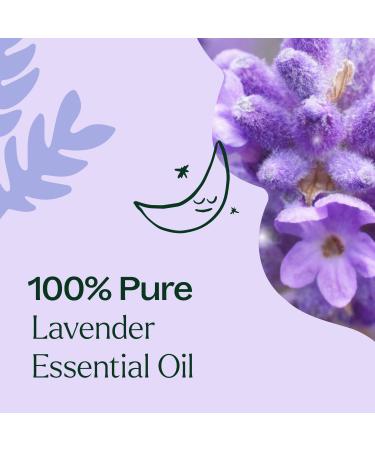 Plant Therapy Lavender Fine Essential Oil 10 mL (1/3 oz) 100% Pure Undiluted Therapeutic Grade - Buy Online on GoSupps.com