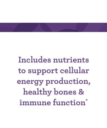 INNATE Response Formulas One Daily without Iron - Iron-Free Daily Multivitamin - With B Vitamins - Vegetarian Non-GMO and Kosher - Made Without 9 Food Allergens - 60 Count (60 Servings) - Buy Online on GoSupps.com