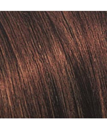 L'Oreal Feria 45 Deep Bronzed Brown Hair Color - Multi-Faceted Shimmer, 1 Application - Buy Online on GoSupps.com