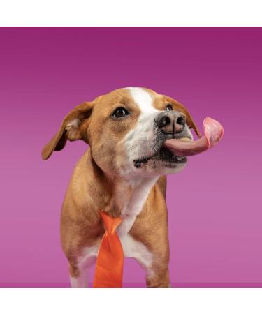 Poochie Butter 12oz x 2 Packs | All Natural Peanut Butter for Dogs - Buy Online on GoSupps.com