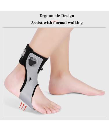 Buy Adjustable Foot Drop Orthotic Brace - Ankle Support for Plantar Fasciitis | Pain Relief & Improved Walking Gait - Large Right Foot - Buy Online on GoSupps.com