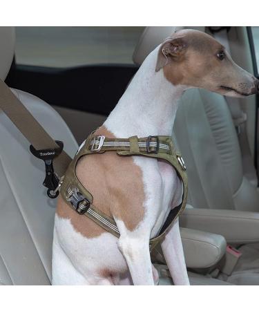 Buy TLM1993 Lila Dog Safety Belt | Universal Car Safety Buckle for Dogs | Improved Security & Comfort - Buy Online on GoSupps.com