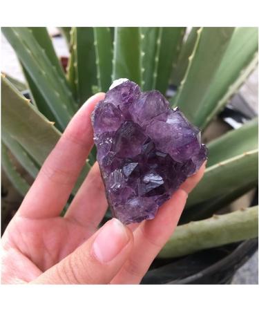 Natural Dream Amethyst Quartz Crystal Cluster Specimen Home Collections - Buy Online on GoSupps.com