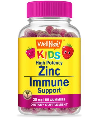 WellYeah Zinc for Kids 25mg Gummies - Immune System and Antioxidant Support - Skin Health Maximum Strength Children Zinc Supplement Immune Booster Gummy - GMO-Free Vegan - 60 Gummies (1)