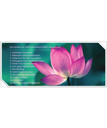 Hayali Coloration v g tale pour cheveux acajou 100 g - Buy Online on GoSupps.com