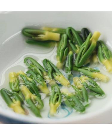 Lotus Plumule Organic Lotus Seed Heart Lian Zi Xin Lotus Nut Nelumbinis Plumula Lotus Seed Core Husked Lotus Core Embryo Nelumbinis Nelumbinis Plumula lotus plumule tea (500grams) - Buy Online on GoSupps.com