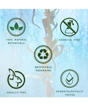 Biotique Kelp Fresh Growth Protein Shampoo for Fine and Thinning Hair 120ml - Buy Online on GoSupps.com