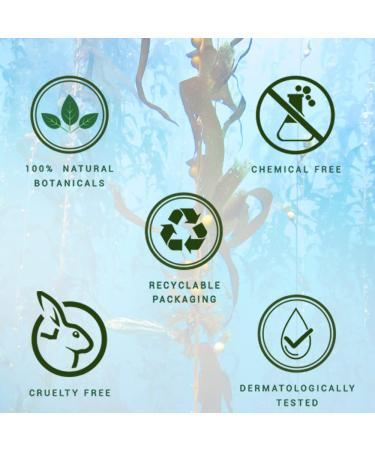 Biotique Bio Kelp Fresh Growth Protein Shampoo 800ml - Nourish & Strengthen Hair | International Shipping Available - Buy Online on GoSupps.com