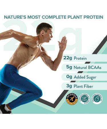 Well Being Nutrition Organic Vegan Plant Protein Isolate Powder - 22g Protein 5g BCAA Superfoods for Muscle Growth & Recovery | French Vanilla 500g - Shop Internationally - Buy Online on GoSupps.com