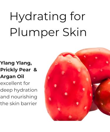 Noo r Skincare Face Oil for Glowing Skin & Gua Sha Massage 100% Natural with Rosehip Jojoba Argan & Vitamin E Anti Aging Night Serum for Skin Tightening & Fine Lines Women/Men (30ml) - Buy Online on GoSupps.com