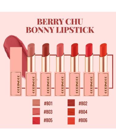 Berry Chu Velvet Matte Lip Stick - Long Lasting Korean Idol Lip Makeup (B06) | Shop Now for International Shipping - Buy Online on GoSupps.com