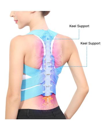 Back Correction Belt Hunchback Correction Belt Back Support Brace Elastic Back Posture Corrector Shoulder Support Brace(S-Blue) favorite gift lofty ambition - Buy Online on GoSupps.com