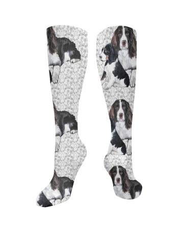 Springer Spaniel adult puppy compression socks for women and men circulation 15 20 mmHg is the best support for sporty running and cycling