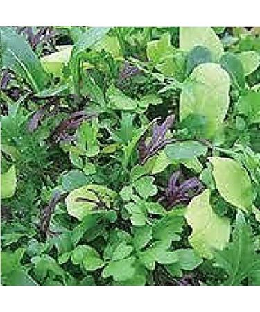 Portal Cool Insalata - Bright e Piccante Miscela del Foglio - Semi 25G - Bulk