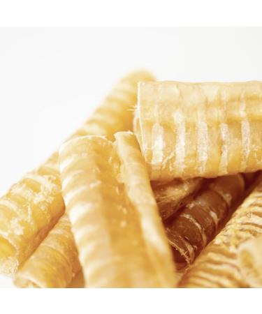 Purely Paws All-Natural Beef Trachea - Safe Digestible Dog Chews - Single Ingredient Trachea Chew - Rawhide Free - (6 Inch - 10 Pack) 6" (10 Pack) - Buy Online on GoSupps.com