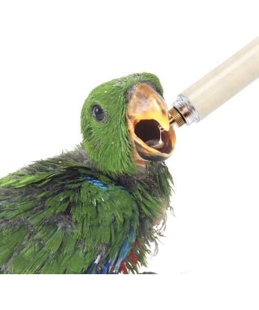 3 Pcs Hand Baby Birds Feeding Syringe Feeding Tubes for Baby Birds with 3 Pcs Feeding Spoon Used and 6 Pcs Curved Gavage Tubes for Pet Baby Bird Parrot Feed Milk and Medicine(20ml 10ml 50ml) - Buy Online on GoSupps.com