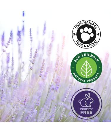 French Lavender Essential Oil 32 fl oz (946 ml) Aluminum Bottle w/Plug Cap 100% Pure Essential Oil GreenHealth - Buy Online on GoSupps.com