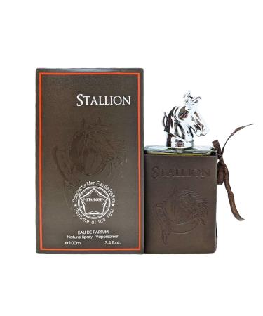 META-BOSEM Stallon Fragrance for Men | Fresh Cologne with Woody Spicy Notes Eau de Parfum Natural Spray - Great Holiday Gift for All Day Use 3.4 Fl Oz/100 Ml