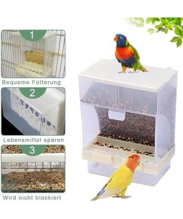 Roysmart Transparent Bird Feed Dispenser | Ideal Food Container for Budgies Canaries Nymphics & Finches - Buy Online on GoSupps.com