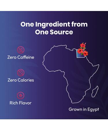 Organic Hibiscus Tea - 100 Tea Bags | Single Origin Herbal Tea | Eco-Friendly & Non-GMO | Caffeine-Free & Sugar-Free | Cederberg Tea Company - Buy Online on GoSupps.com