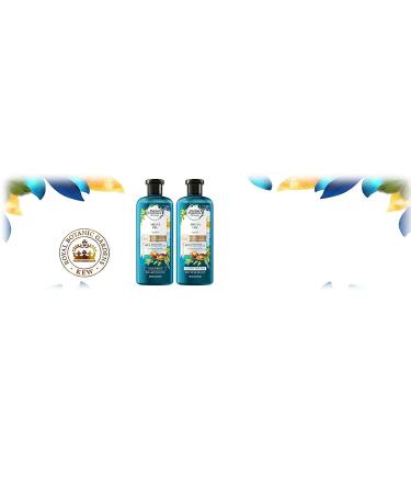 Herbal Essences Repair Conditioner with Argan Oil - 13.5 fl oz | Strengthen & Nourish Hair - Buy Online on GoSupps.com