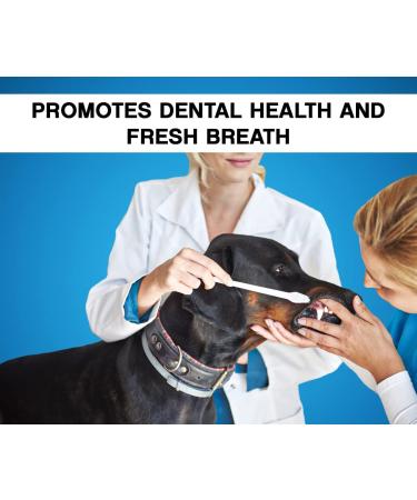 Boltz Enzymatic Toothpaste for Dogs 100gm with 3 Toothbrush with Mint Fragrance - Buy Online on GoSupps.com