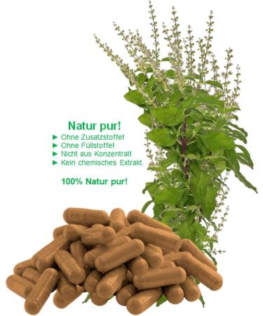 Tulsibasilikum 120 Capsules - Holy Basil for Meditation & Relaxation | Pure Natural Ayurvedic Herbal Supplement - No Additives - Buy Online on GoSupps.com