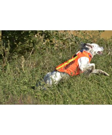 Canihunt Vest Flash V2 (XL) - Premium Dog Training & Hunting Gear | International Shipping Available - Buy Online on GoSupps.com