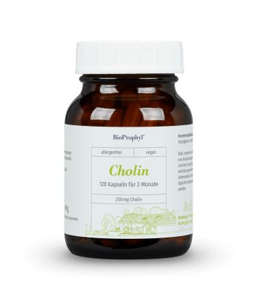 BioProphyl Choline - 250 mg Choline from VitaCholine - 120 capsules - High-dose Choline capsules