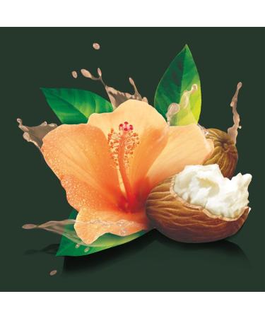 TRESemm Botanique Shampoo for curly hair Curl Hydration with Shea Butter & Hibiscus 739ml - Buy Online on GoSupps.com