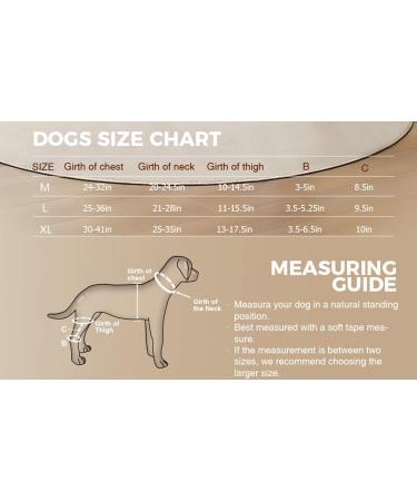 Dog Knee Brace for Torn ACL Hind Leg and Luxating Patella Dog Leg Brace with Metal Hinged Support for Better Support and Recovery Both Leg Hind Leg Luxating Patella Dysplasia Arthritis Joint Pain(Lar Large - Buy Online on GoSupps.com