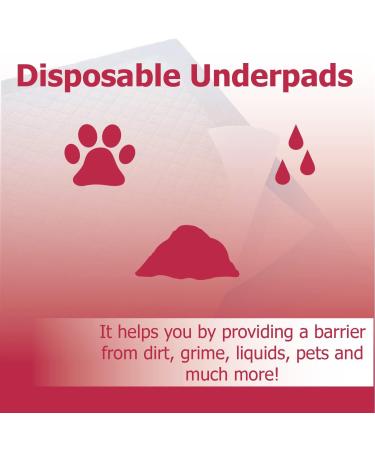 Dealmed Economy Absorbency Medical Underpads 100 Count | 2-Ply Tissue Fill for Pet Pads and Furniture Protection | 17 x 24 Blue Barrier | 1 Pack - Buy Online on GoSupps.com