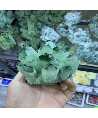 Natural Crystal Rough 300-800g Natural Green Ghost Phantom Quartz Crystal Cluster Rock Stones and Crystals Home Decor NaturalReiki Decoration (Size : 320-400g) - Buy Online on GoSupps.com