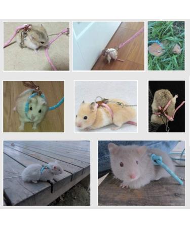 Adjustable Hamster Harness & Leash | Anti-Bite Vest for Hamsters Gerbils Rats Mice Ferrets & Squirrels - Pink - Buy Online on GoSupps.com