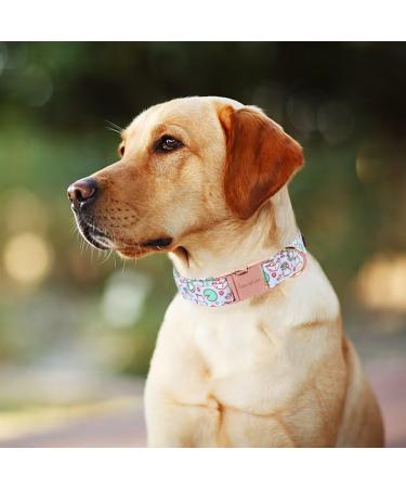 Unique Style Paws Summer Dog Collars - Lotus Frosch Cabbage Design for All Dog Sizes | Perfect Gifts for Small Medium & Large Dogs - Buy Online on GoSupps.com