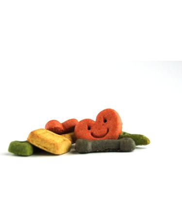 Twinky-Mix 500g Bag Healthy Natural Dog Treats | Dibo B.A.R.F. Dog Biscuit for a Nutritious Diet - Buy Online on GoSupps.com