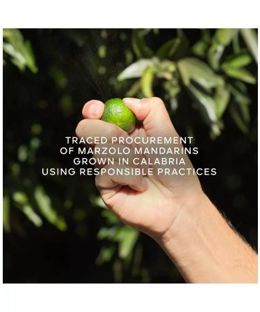 GUERLAIN Aqua Allegoria Harvest Mandarine Basilic Eau De Toilette Spray for Women 4.2 Ounce - Buy Online on GoSupps.com