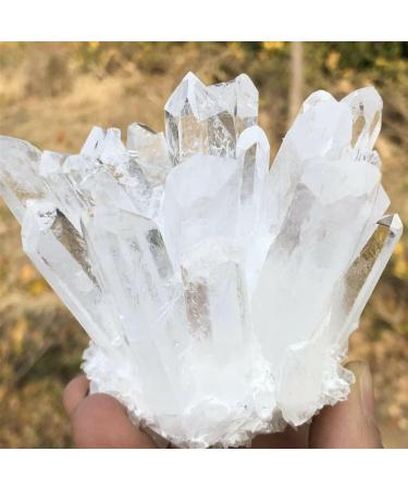 Home Natural White Quartz Crystal Cluster Specimen Home Goods (Size : 650-700g) - Buy Online on GoSupps.com
