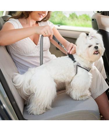 Adjustable Dog Seat Belt with Elastic Damping & Reflective Headrest - Universal Fit for All Dog Breeds & Cats - Safe Travels - Buy Online on GoSupps.com