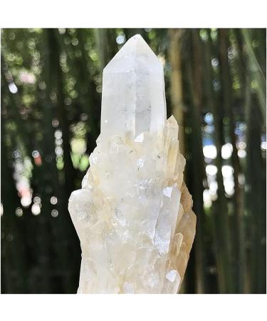 Natural Beautiful Pineapple Quartz Crystal Cluster Specimen HOMEZHOU (Size : 100-150g) - Buy Online on GoSupps.com