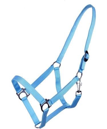 Buy Netproshop Halter & Lead Rope - Light Blue Cob for Mini Shetty to XL Full | Durable & Stylish Pet Gear - Buy Online on GoSupps.com