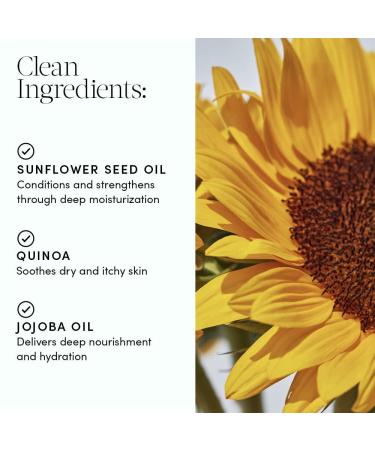 Evereden Nourishing Baby Face Cream 0.5 fl oz | Non-Toxic Fragrance-Free Moisturizer | Rich Non-Greasy Baby Lotion for Delicate Skin - Buy Online on GoSupps.com