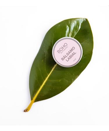 Boho Balsamo Labial Organic 10 ml Boho 200 ml - Buy Online on GoSupps.com