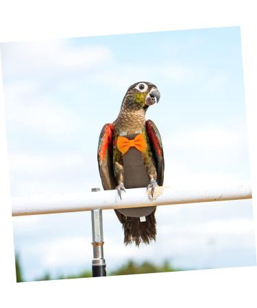 PopetPop Flying Bird Diapers - Sittich Darling Cotton Diapers for Small Birds | Protective Parrot Diaper & Urine Pad - 22x12cm 2 Pcs - Buy Online on GoSupps.com