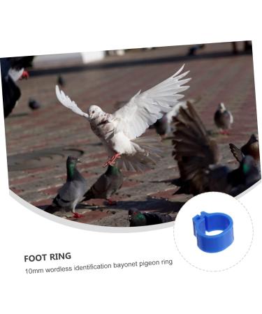 BESPORTBLE 300 Pcs Meat Pigeon Anklet Chicken Ankle Bands Pigeon Leg Ring Bird Leg Clips Hen Plastic 1.3X1.3CMx3pcs Dark Bluex3pcs - Buy Online on GoSupps.com