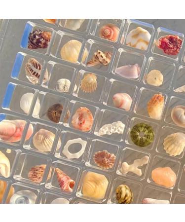 ARVALOLET Acrylic Organizer with Magnetic Closure 36/64/100 Grids for Stones Beads and Nail Jewelry 36grids - Buy Online on GoSupps.com