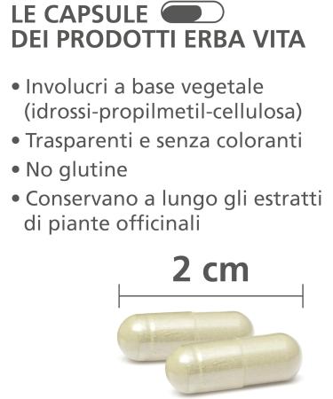 ERBA VITA Hypericum Food Supplement - 60 Capsules - Buy Online on GoSupps.com